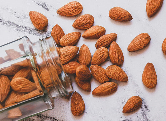 Healthy Nuts for Everyday Nutrition