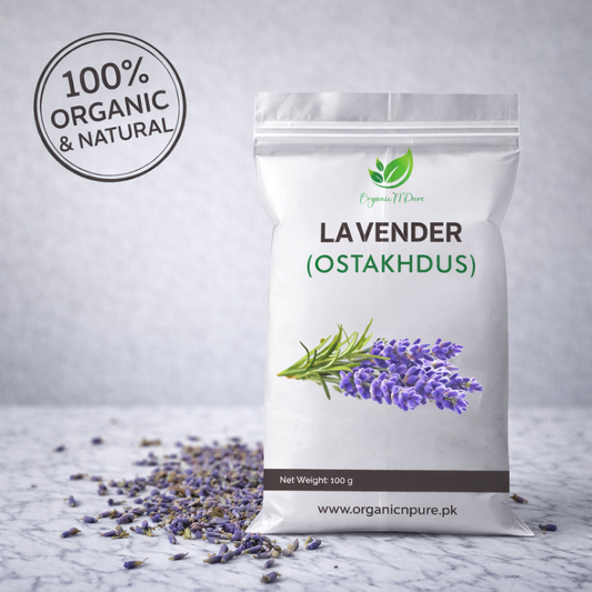 LAVENDER (اسطو خودوس)