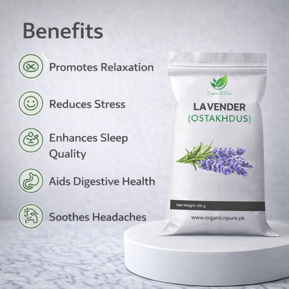 LAVENDER (اسطو خودوس)